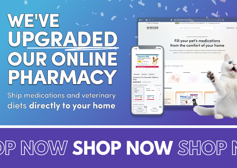 Carousel Slide 2: Shop our online pharmacy and pet store!