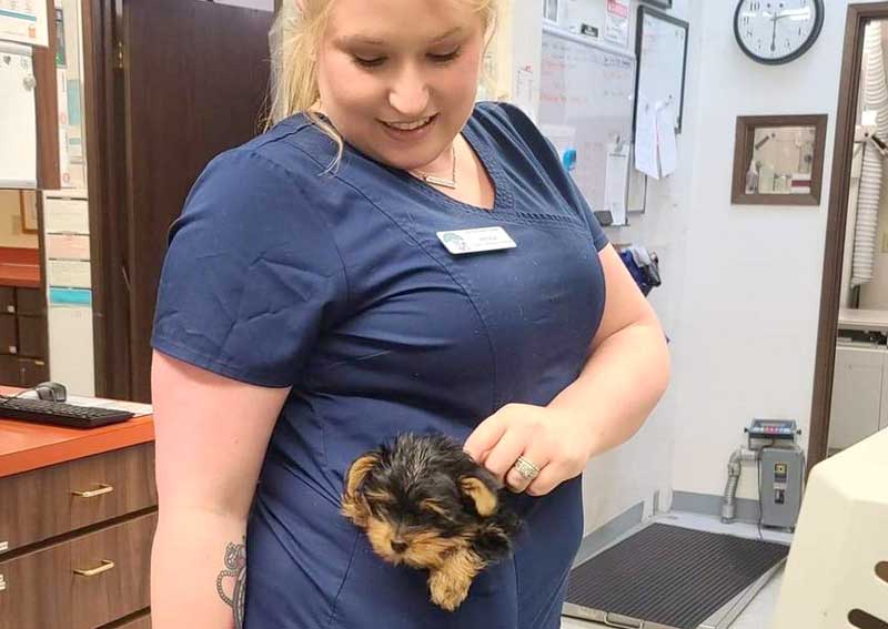 Carousel Slide 2: Puppy veterinary care